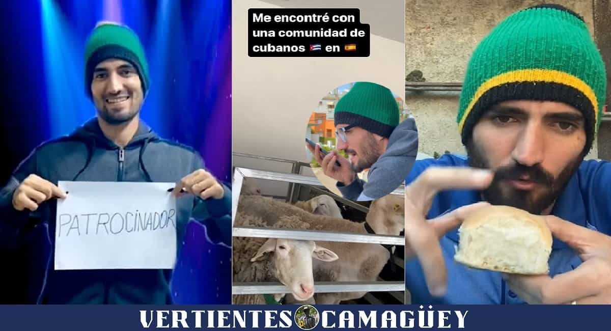 Tiktokero vertientino