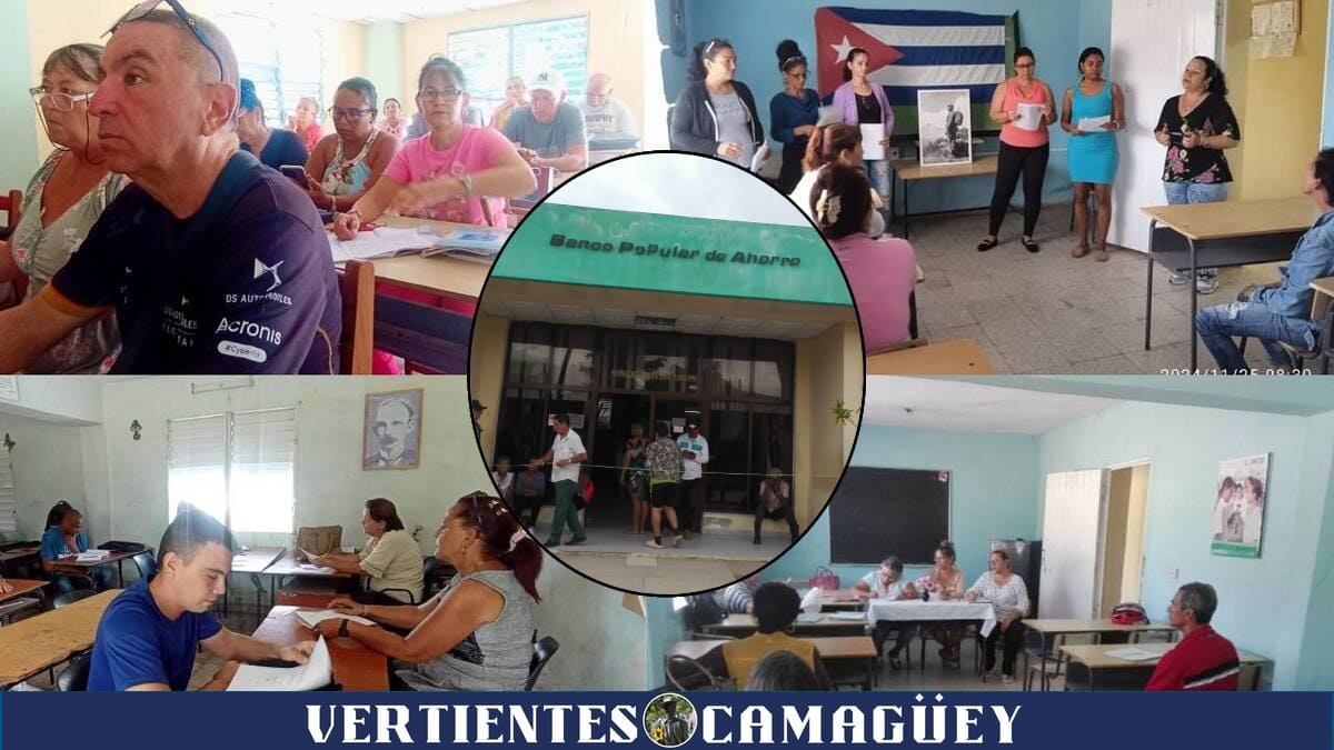 docentes de Vertientes